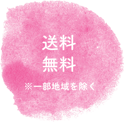 配送料無料一部地域を除き